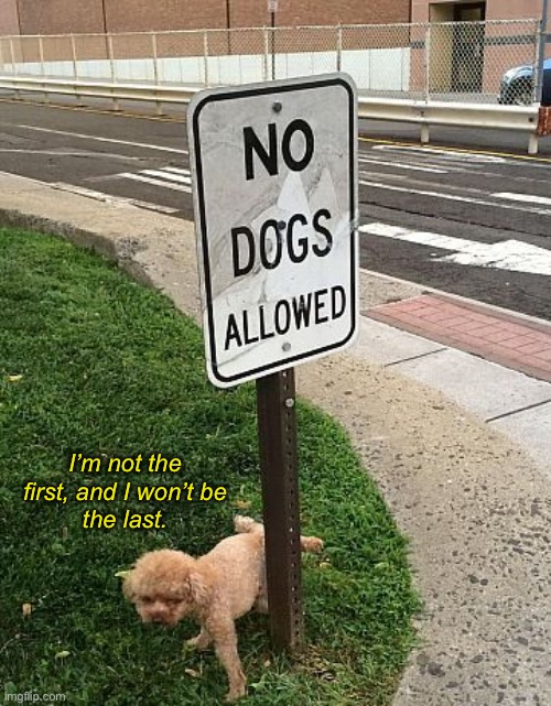 I Piss on Your Rules | I’m not the first, and I won’t be
the last. | image tagged in funny dog memes | made w/ Imgflip meme maker