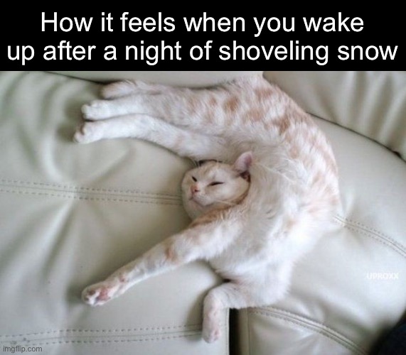 Back Breaking | How it feels when you wake up after a night of shoveling snow | image tagged in funny memes,funny cat memes | made w/ Imgflip meme maker