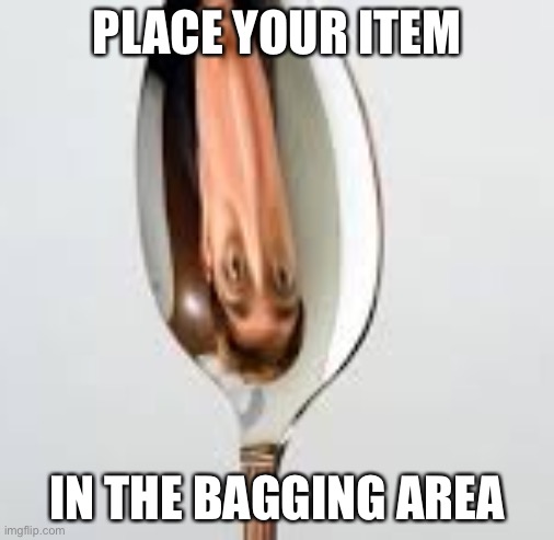 Spoon | PLACE YOUR ITEM; IN THE BAGGING AREA | image tagged in spoon | made w/ Imgflip meme maker