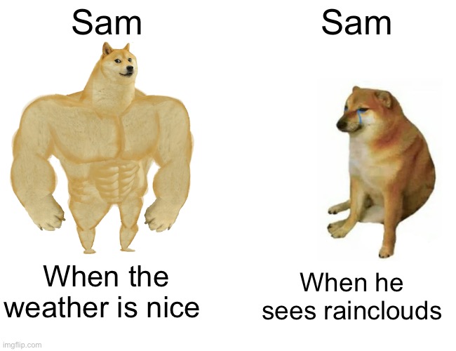 Buff Doge vs. Cheems Meme | Sam; Sam; When the weather is nice; When he sees rainclouds | image tagged in memes,buff doge vs cheems | made w/ Imgflip meme maker