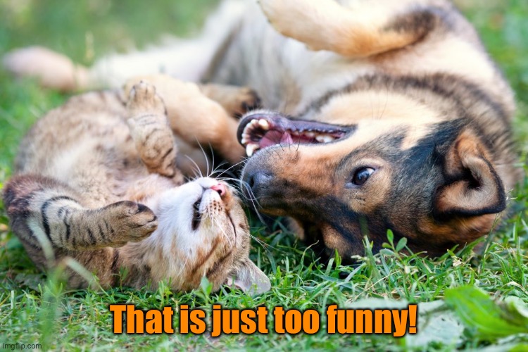 That is just too funny! | made w/ Imgflip meme maker