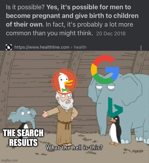 THE SEARCH RESULTS | image tagged in what the hell is this | made w/ Imgflip meme maker