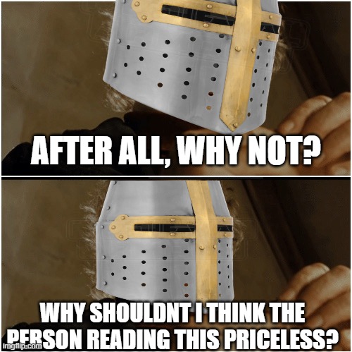 after all...why not? | AFTER ALL, WHY NOT? WHY SHOULDNT I THINK THE PERSON READING THIS PRICELESS? | image tagged in after all why not,crusader,wholesome | made w/ Imgflip meme maker