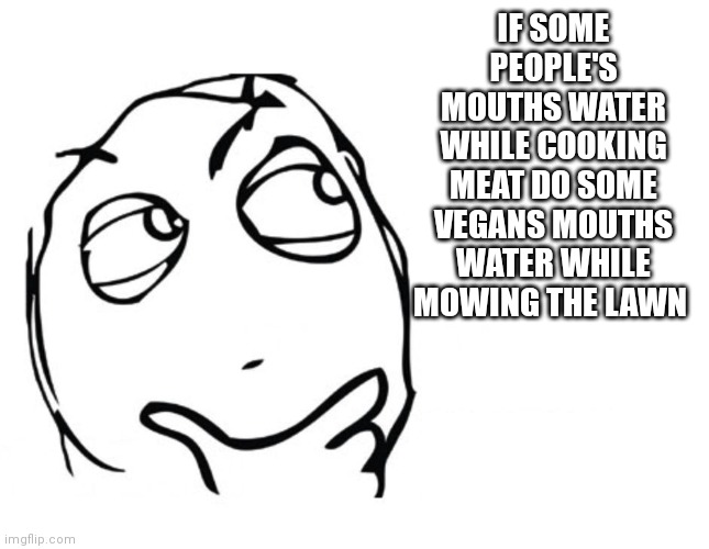 hmmm | IF SOME PEOPLE'S MOUTHS WATER WHILE COOKING MEAT DO SOME VEGANS MOUTHS WATER WHILE MOWING THE LAWN | image tagged in hmmm | made w/ Imgflip meme maker