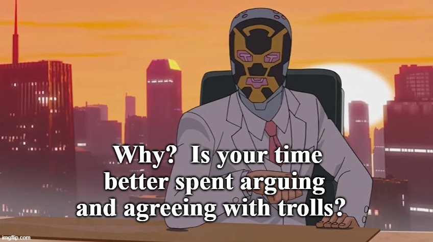 Why?  Is your time better spent arguing and agreeing with trolls? | made w/ Imgflip meme maker