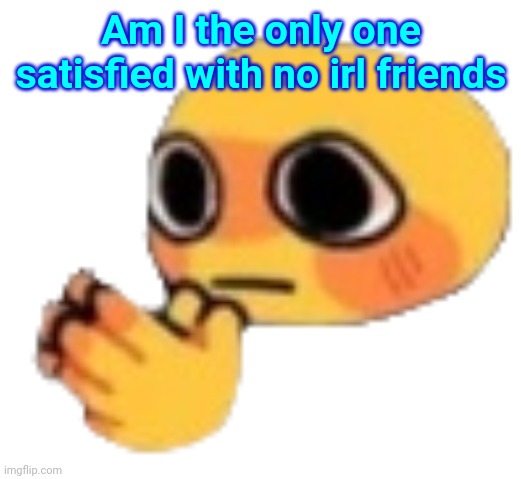 Bruh | Am I the only one satisfied with no irl friends | image tagged in bruh | made w/ Imgflip meme maker