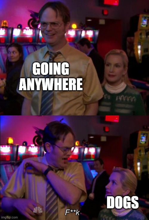 Angela scared Dwight | GOING ANYWHERE; DOGS | image tagged in angela scared dwight | made w/ Imgflip meme maker