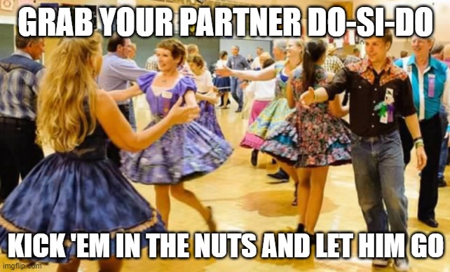 square dancing | GRAB YOUR PARTNER DO-SI-DO; KICK 'EM IN THE NUTS AND LET HIM GO | image tagged in square dancing | made w/ Imgflip meme maker