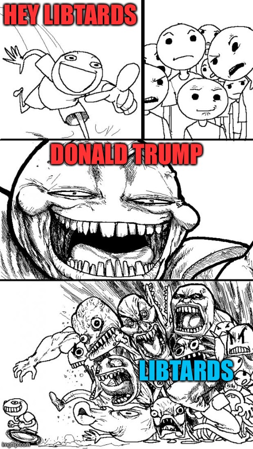 Hey Internet | HEY LIBTARDS; DONALD TRUMP; LIBTARDS | image tagged in memes,hey internet,donald trump,oh wow are you actually reading these tags,libtards | made w/ Imgflip meme maker