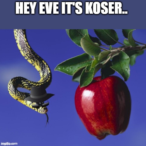 REJECTED IN POLITICS | HEY EVE IT'S KOSER.. | image tagged in do you wanna talk about it | made w/ Imgflip meme maker
