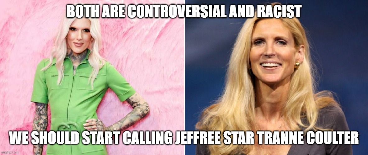 BOTH ARE CONTROVERSIAL AND RACIST; WE SHOULD START CALLING JEFFREE STAR TRANNE COULTER | made w/ Imgflip meme maker