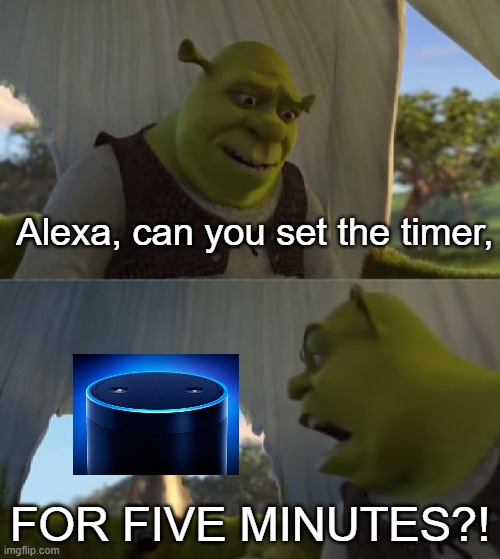 Okay. -Alexa | Alexa, can you set the timer, FOR FIVE MINUTES?! | image tagged in could you not ___ for 5 minutes | made w/ Imgflip meme maker