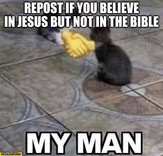 i believe the gospel not the bible | REPOST IF YOU BELIEVE IN JESUS BUT NOT IN THE BIBLE | image tagged in cats shaking hands | made w/ Imgflip meme maker