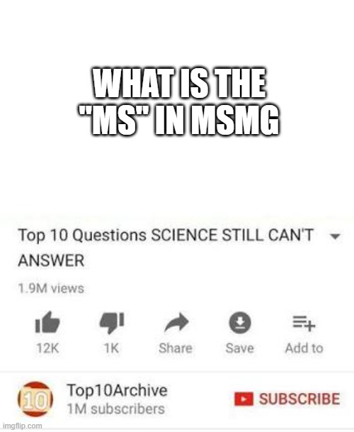 Mega shitposter memer group | WHAT IS THE "MS" IN MSMG | image tagged in top 10 questions science still can't answer | made w/ Imgflip meme maker