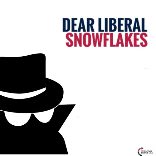 High Quality Dear Liberal Snowflakes IncognitoGuy Blank Meme Template