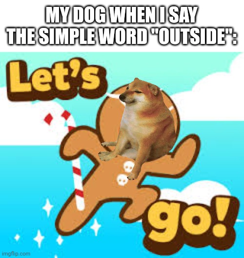 Let’s go! | MY DOG WHEN I SAY THE SIMPLE WORD "OUTSIDE": | image tagged in let s go | made w/ Imgflip meme maker