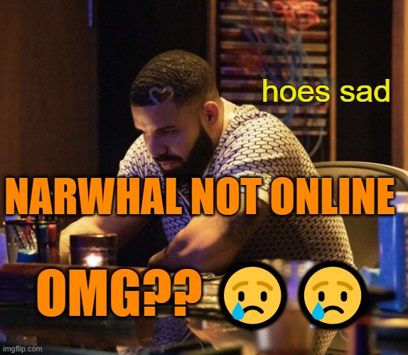 . | NARWHAL NOT ONLINE; OMG?? 😢😢 | image tagged in hoes sad drake | made w/ Imgflip meme maker