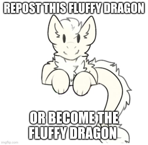 Fluffy dragon | REPOST THIS FLUFFY DRAGON; OR BECOME THE FLUFFY DRAGON | image tagged in fluffy dragon | made w/ Imgflip meme maker