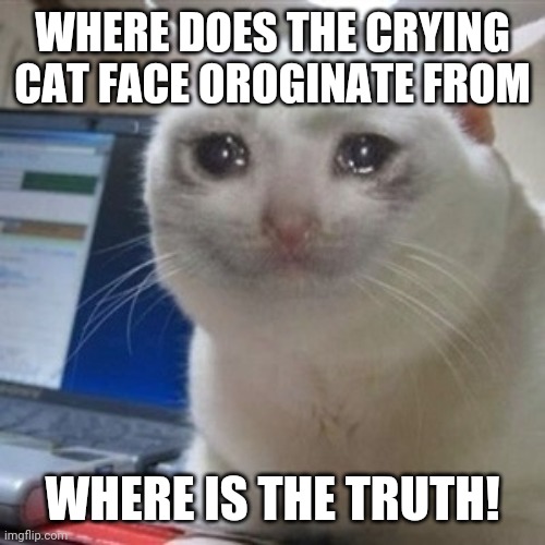 Crying cat | WHERE DOES THE CRYING CAT FACE OROGINATE FROM; WHERE IS THE TRUTH! | image tagged in crying cat | made w/ Imgflip meme maker