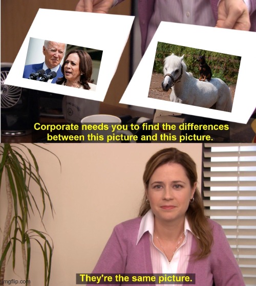 Both are a Dog and Pony Show | image tagged in memes,they're the same picture,kamala harris,joe biden | made w/ Imgflip meme maker
