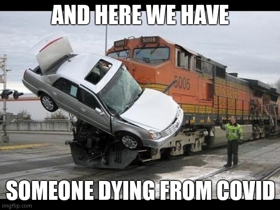 Vaxx sheep are so stupid they think people that died in traffic accidents died of covid. | AND HERE WE HAVE; SOMEONE DYING FROM COVID | image tagged in car crash,sheep,gullible | made w/ Imgflip meme maker