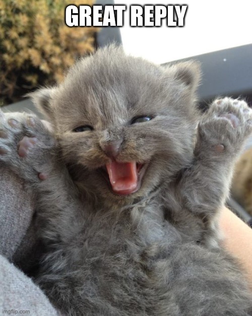 Yay Kitty | GREAT REPLY | image tagged in yay kitty | made w/ Imgflip meme maker