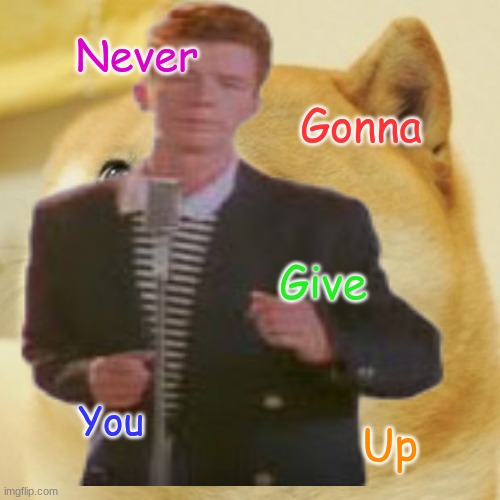 When the Doge Rick rolls you | Never; Gonna; Give; You; Up | image tagged in memes,doge,never gonna give you up,rick astley,lol,oh wow are you actually reading these tags | made w/ Imgflip meme maker