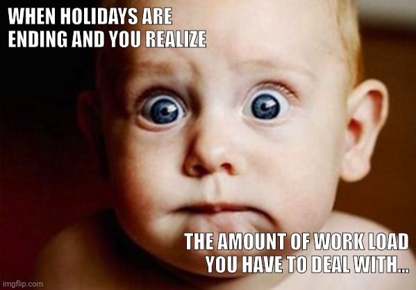 Scared Face | WHEN HOLIDAYS ARE ENDING AND YOU REALIZE; THE AMOUNT OF WORK LOAD YOU HAVE TO DEAL WITH... | image tagged in scared face | made w/ Imgflip meme maker