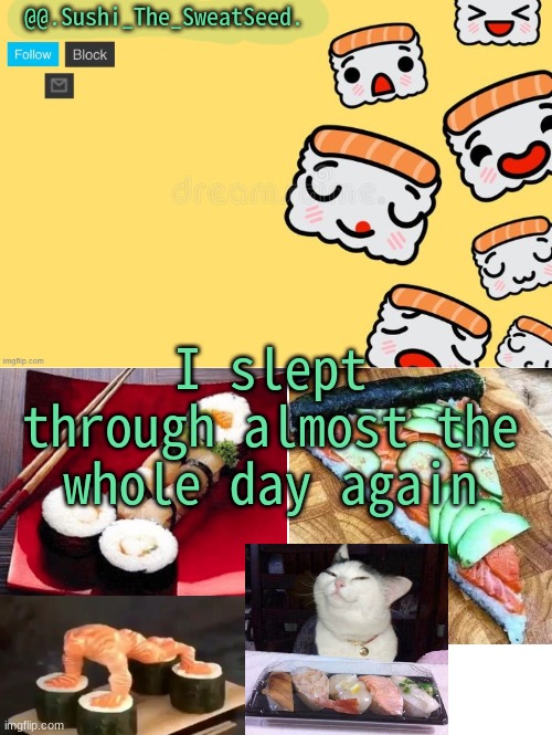 I slept through almost the whole day again | image tagged in sushi_the_sweatseed | made w/ Imgflip meme maker