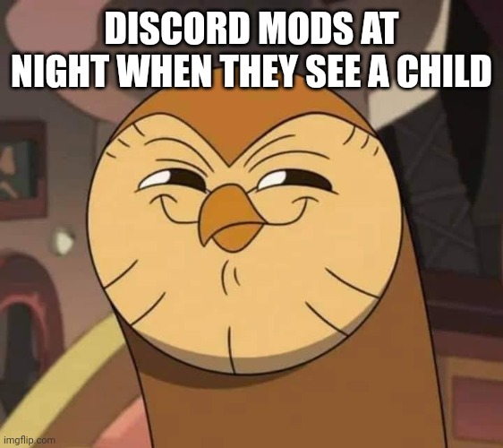 Hooty like | DISCORD MODS AT NIGHT WHEN THEY SEE A CHILD | image tagged in hooty like | made w/ Imgflip meme maker