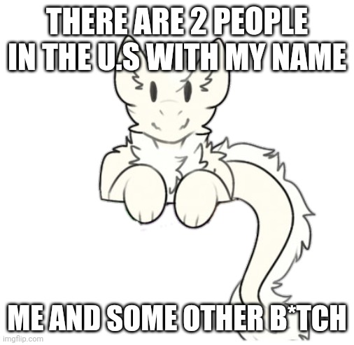 Fluffy dragon | THERE ARE 2 PEOPLE IN THE U.S WITH MY NAME; ME AND SOME OTHER B*TCH | image tagged in fluffy dragon | made w/ Imgflip meme maker