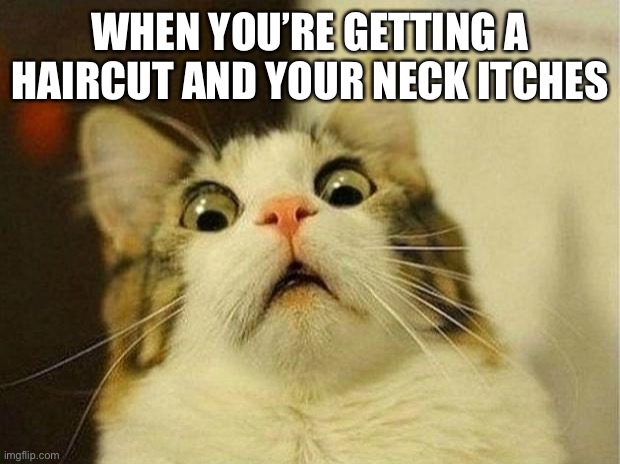 GAAAAAAAAH | WHEN YOU’RE GETTING A HAIRCUT AND YOUR NECK ITCHES | image tagged in memes,scared cat | made w/ Imgflip meme maker