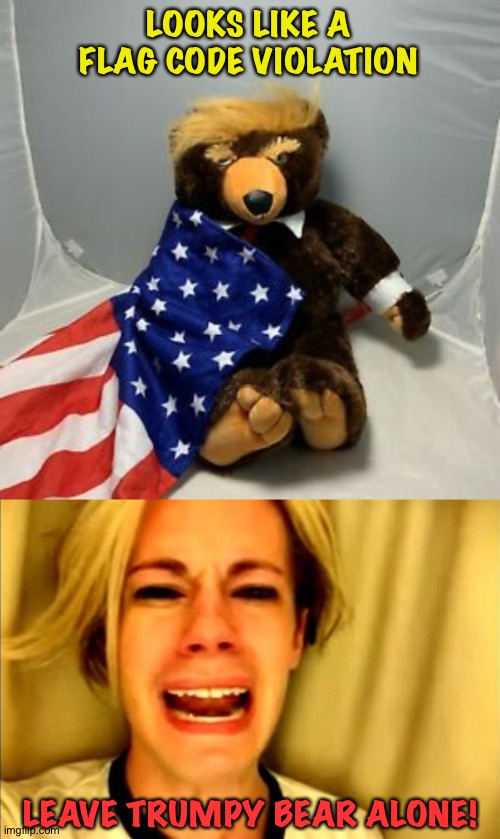 He doesn't know any better...made in Chy-Nah! | LOOKS LIKE A FLAG CODE VIOLATION; LEAVE TRUMPY BEAR ALONE! | image tagged in trumpy bear,whiney follower | made w/ Imgflip meme maker