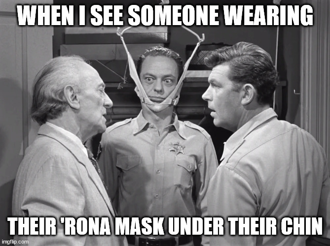 rona mask barney | WHEN I SEE SOMEONE WEARING; THEIR 'RONA MASK UNDER THEIR CHIN | image tagged in coronavirus | made w/ Imgflip meme maker