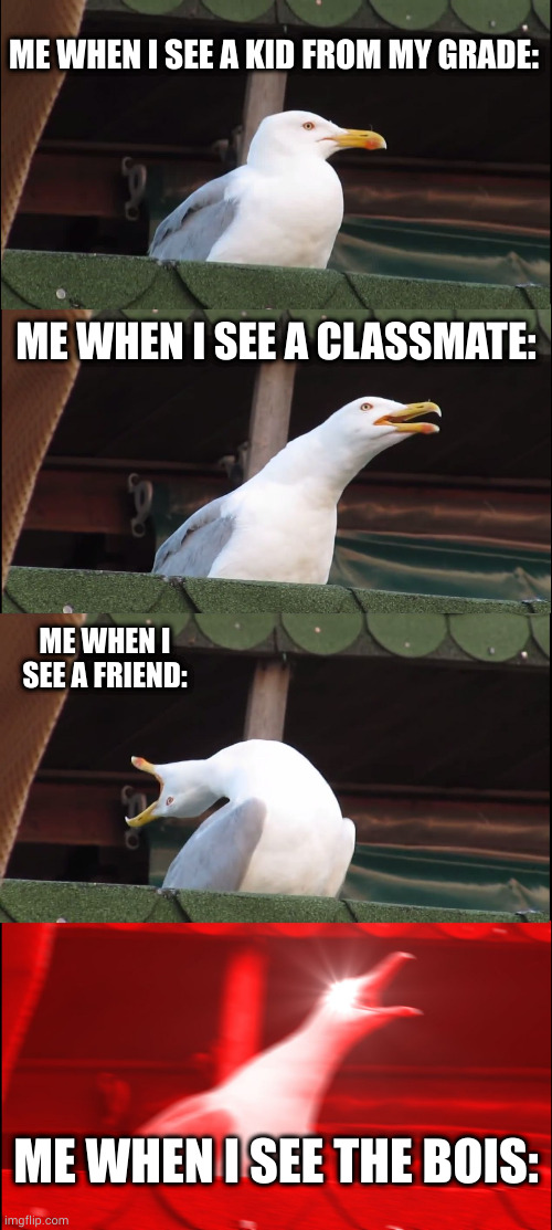 who hasn't got the urge to do this | ME WHEN I SEE A KID FROM MY GRADE:; ME WHEN I SEE A CLASSMATE:; ME WHEN I SEE A FRIEND:; ME WHEN I SEE THE BOIS: | image tagged in memes,inhaling seagull | made w/ Imgflip meme maker