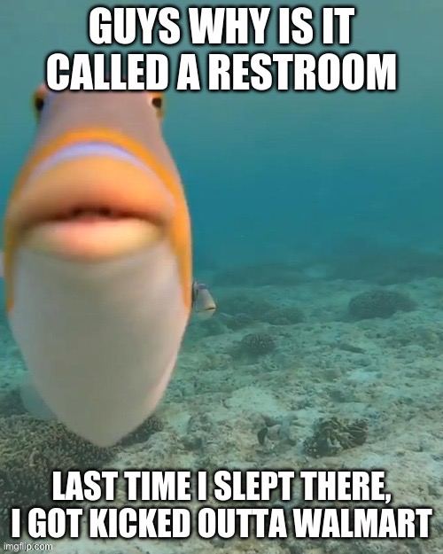 Why is it called that? | image tagged in fish,fish meme,meme,memes,fish memes | made w/ Imgflip meme maker