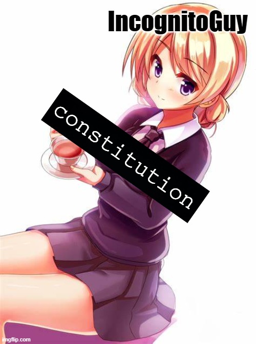 yessir | IncognitoGuy; constitution | made w/ Imgflip meme maker