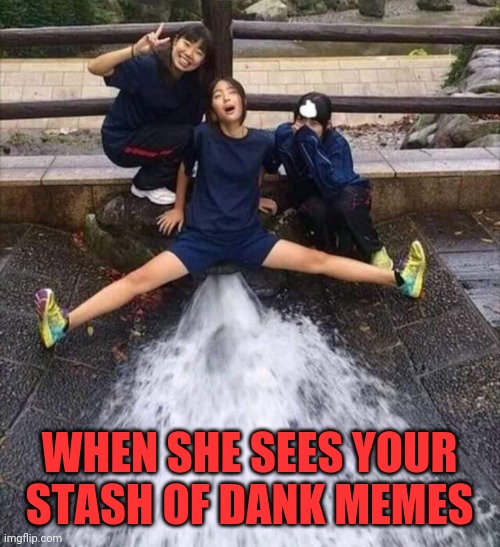 Sploosh | WHEN SHE SEES YOUR STASH OF DANK MEMES | image tagged in sploosh,dank memes,dank,alpha,mcdonalds | made w/ Imgflip meme maker