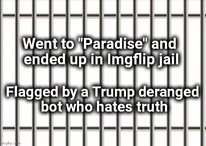Another biased mod | Went to "Paradise" and
 ended up in Imgflip jail; Flagged by a Trump deranged
 bot who hates truth | image tagged in jail cell,imgflip mods,suck,you had one job,loser | made w/ Imgflip meme maker