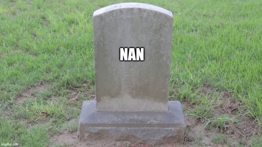 Blank Tombstone 001 | NAN | image tagged in blank tombstone 001 | made w/ Imgflip meme maker