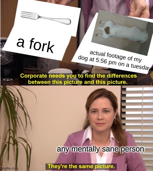 my dog says hi to yall | a fork; actual footage of my dog at 5:56 pm on a tuesday; any mentally sane person | image tagged in memes,they're the same picture | made w/ Imgflip meme maker