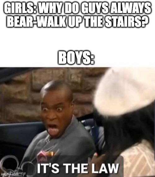 We all did this, admit it. | GIRLS: WHY DO GUYS ALWAYS BEAR-WALK UP THE STAIRS? BOYS: | image tagged in it's the law | made w/ Imgflip meme maker