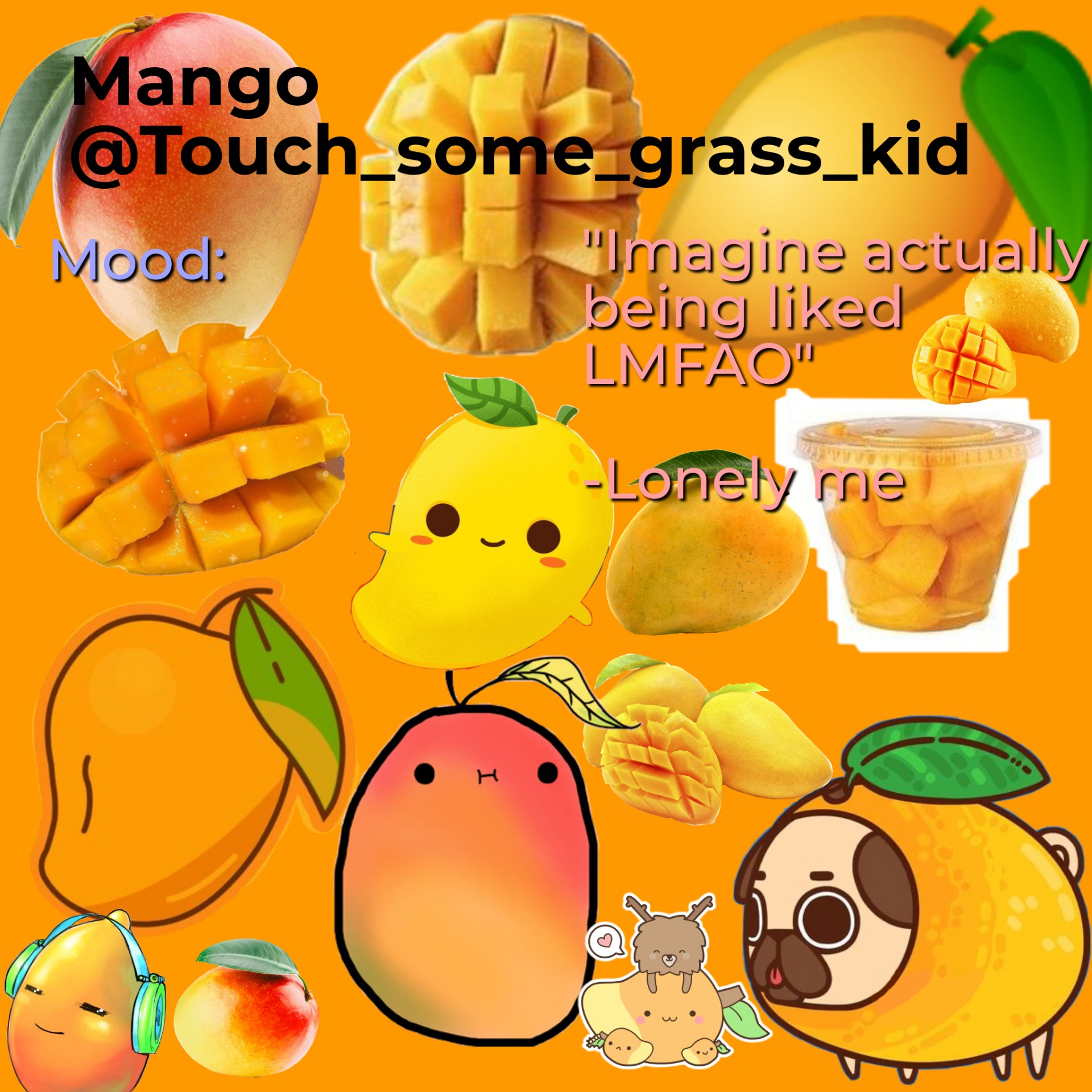High Quality Mango's temp bc bored Blank Meme Template