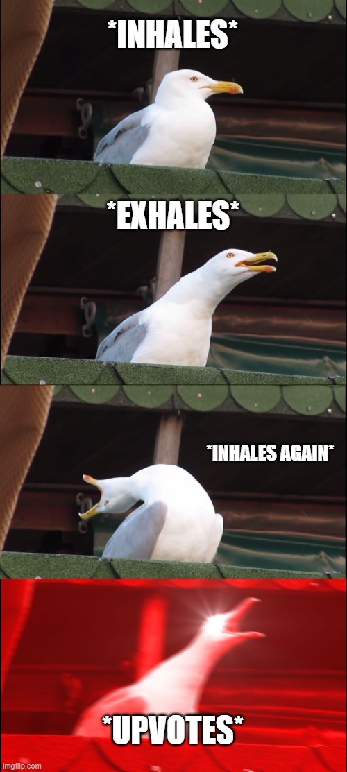 *INHALES* *EXHALES* *INHALES AGAIN* *UPVOTES* | image tagged in memes,inhaling seagull | made w/ Imgflip meme maker