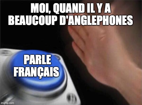 quand personne comprend le français: | MOI, QUAND IL Y A BEAUCOUP D'ANGLEPHONES; PARLE FRANÇAIS | image tagged in memes,blank nut button | made w/ Imgflip meme maker