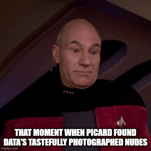 They Were Art Captain | THAT MOMENT WHEN PICARD FOUND DATA'S TASTEFULLY PHOTOGRAPHED NUDES | image tagged in picard awkward | made w/ Imgflip meme maker