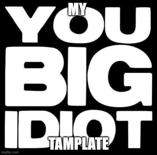 You big idiot | MY; TAMPLATE | image tagged in you big idiot | made w/ Imgflip meme maker