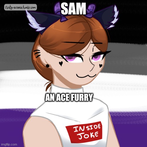 another oc!! | SAM; AN ACE FURRY | image tagged in furry,ace,asexual | made w/ Imgflip meme maker