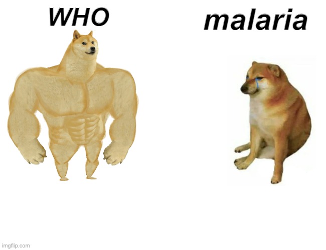 Buff Doge vs. Cheems | WHO; malaria | image tagged in memes,buff doge vs cheems | made w/ Imgflip meme maker