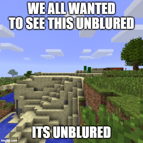 We found it bois | WE ALL WANTED TO SEE THIS UNBLURED; ITS UNBLURED | image tagged in minecraft | made w/ Imgflip meme maker